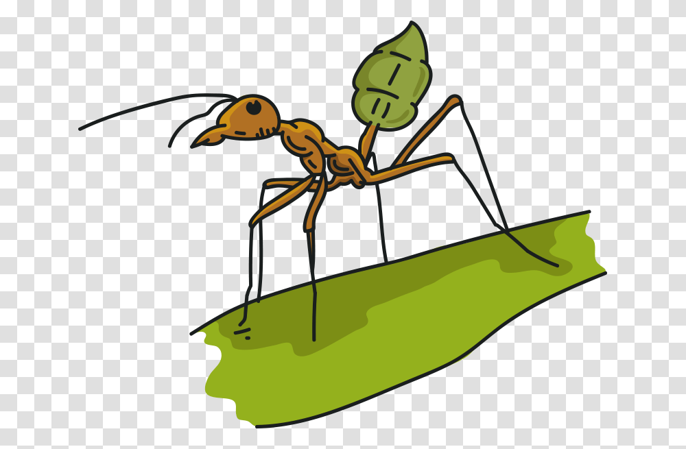 Sauna Clipart Ant, Animal, Invertebrate, Insect Transparent Png