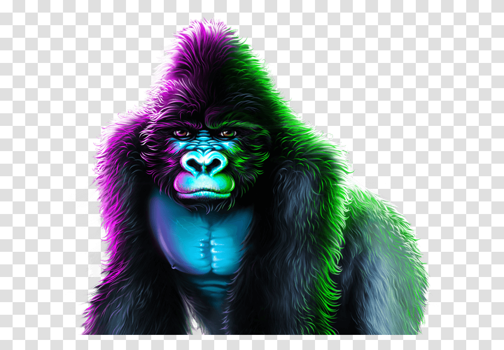 Savage, Ape, Wildlife, Mammal, Animal Transparent Png