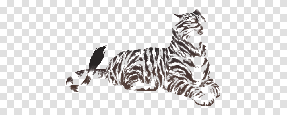 Savage Drawing Tiger Lioden Feline Markings Primal, Mammal, Animal, Cat, Pet Transparent Png
