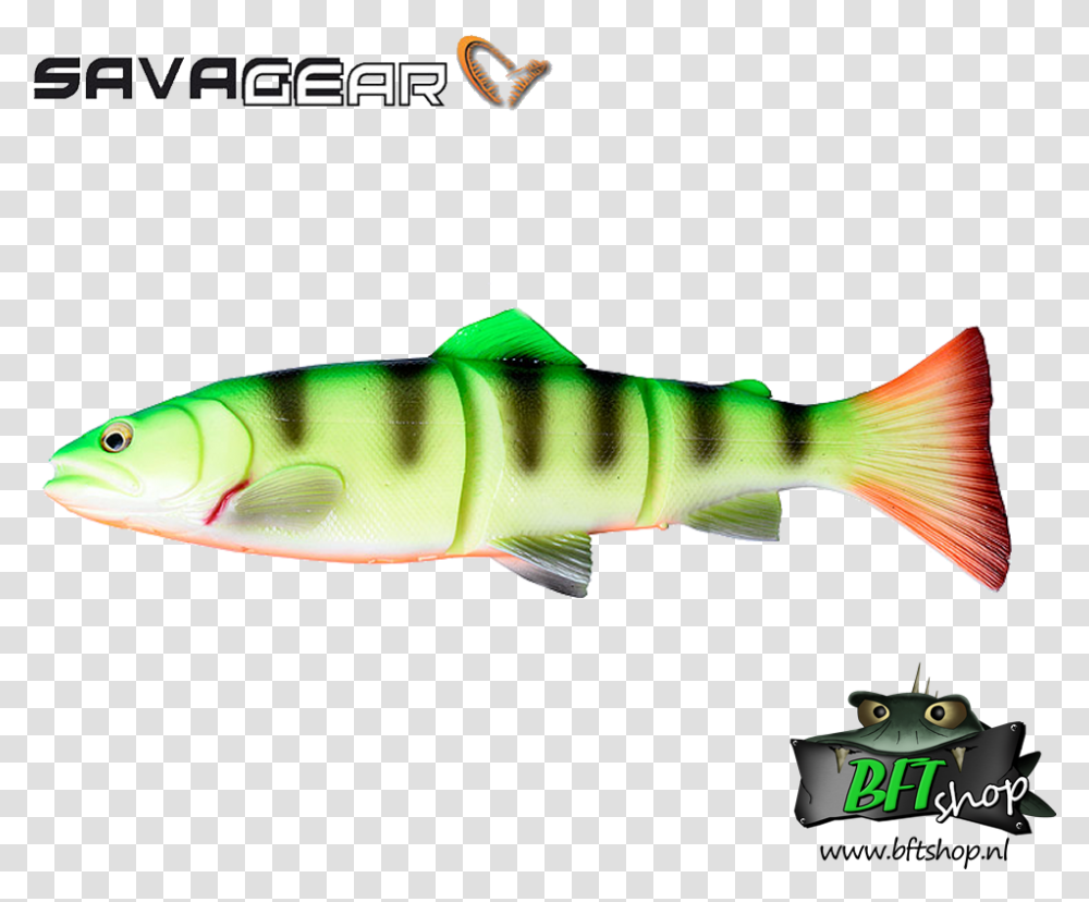 Savage Gear 3d Line Thru Trout Savage Gear Line Thru Brown Trout, Fish, Animal, Perch, Sea Life Transparent Png