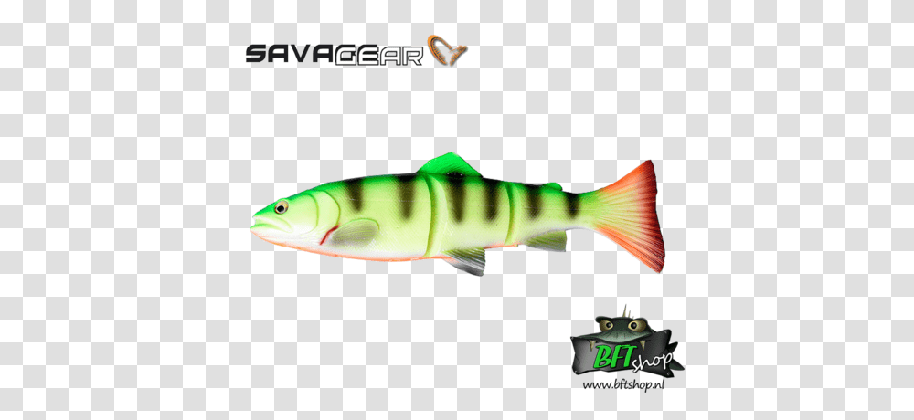 Savage Gear Line Thru Trout, Fish, Animal, Sea Life, Coho Transparent Png