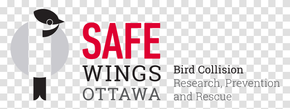 Save An Injured Bird - Safe Wings Ottawa Safe Wings Ottawa Logo, Text, Word, Alphabet, Symbol Transparent Png