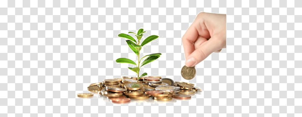 Save Money Photo All Savings Account, Person, Human, Plant, Coin Transparent Png
