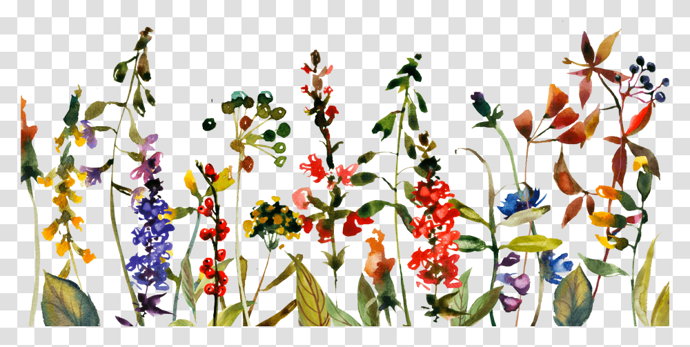 Save The Date Blumensommer Blumen Minimalistic Karte Wild Flowers Free, Acanthaceae, Plant, Blossom, Leaf Transparent Png