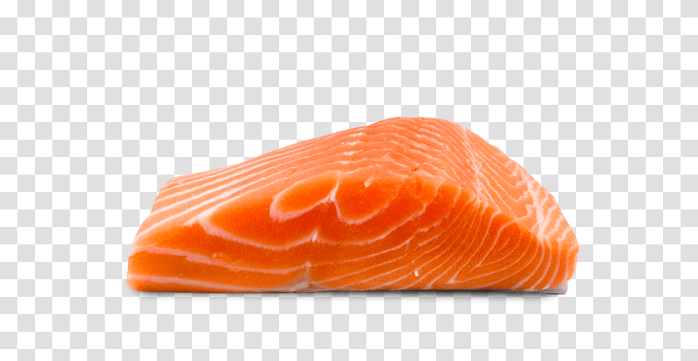 Save The Food Salmon Pot Pie, Sushi, Ornament, Orange, Citrus Fruit Transparent Png