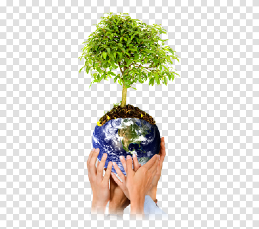 Save Tree Images, Plant, Outer Space, Astronomy, Universe Transparent Png