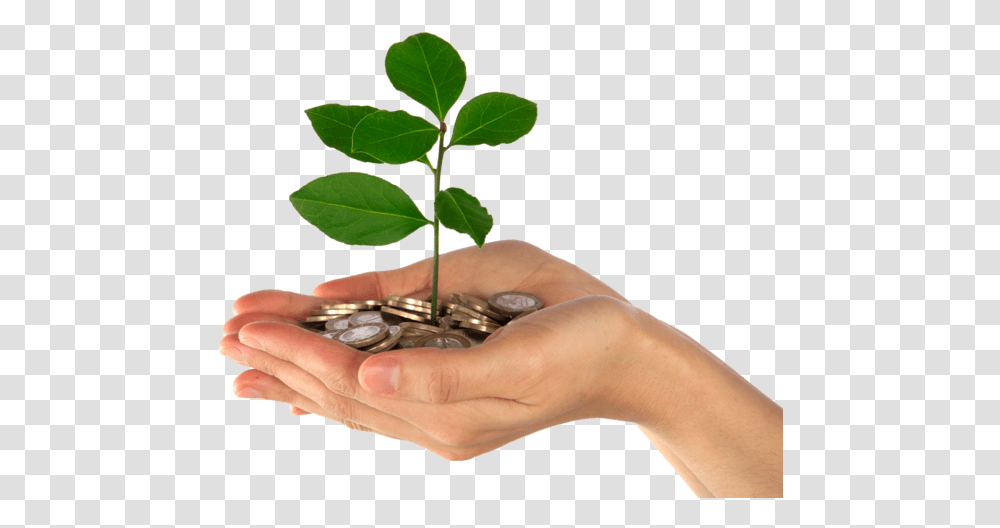 Savings Background Image Background Savings, Person, Human, Leaf, Plant Transparent Png