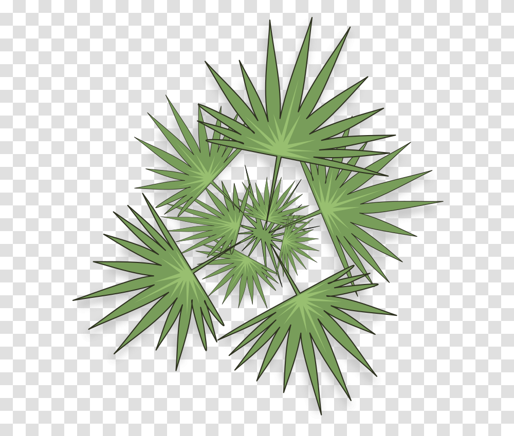 Saw Palmetto, Green, Plant, Leaf, Pineapple Transparent Png