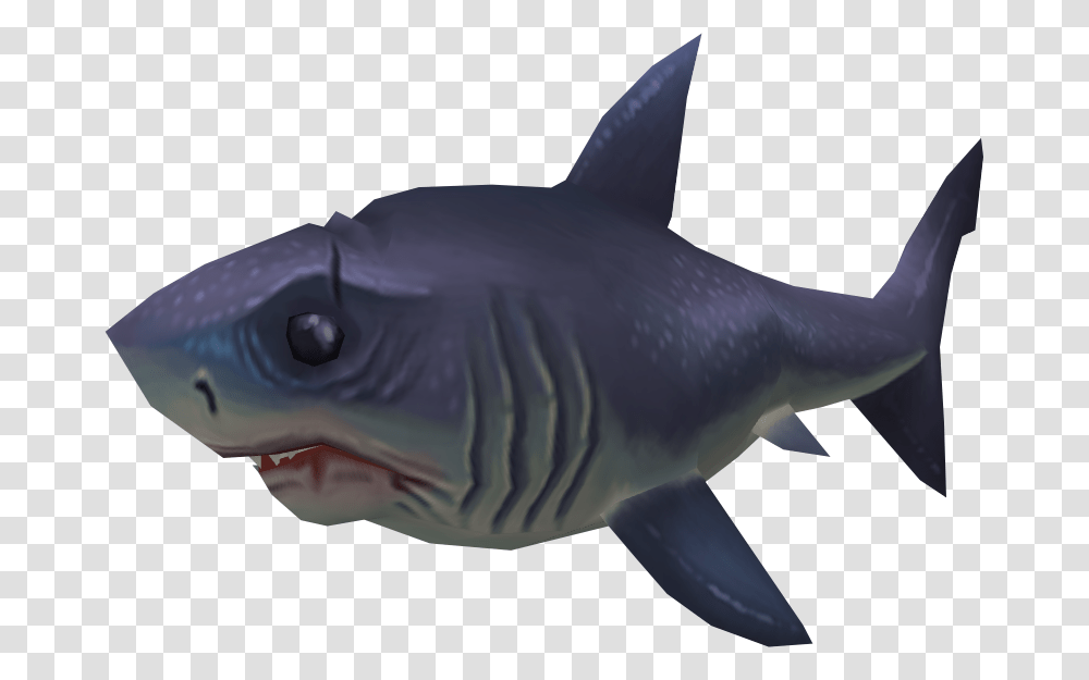 Sayln The Shark, Sea Life, Fish, Animal, Great White Shark Transparent Png