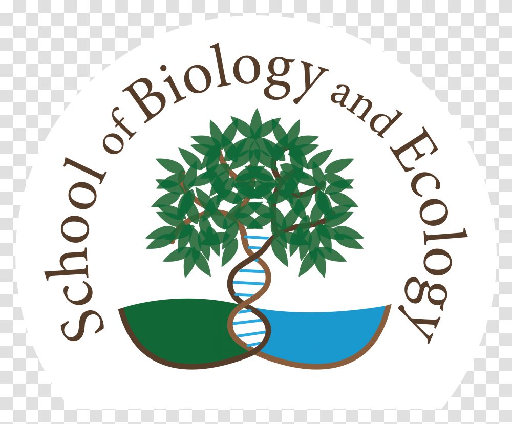 Sbe Logo And Tree Image Umaine School Of Biology And Ecology, Plant, Symbol, Vegetation, Conifer Transparent Png