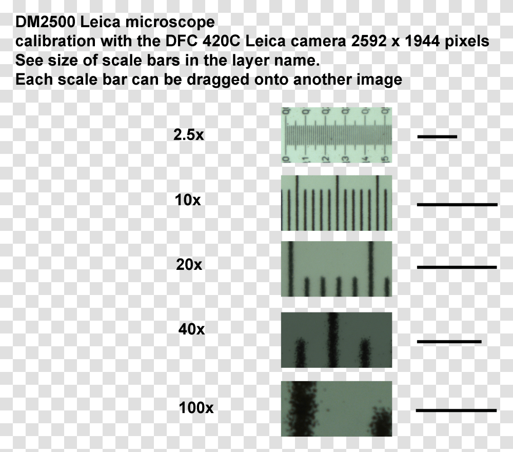 Scale Bar Scale Bar Microscopy Magnification, Furniture, Bookcase, Shelf, Tree Transparent Png