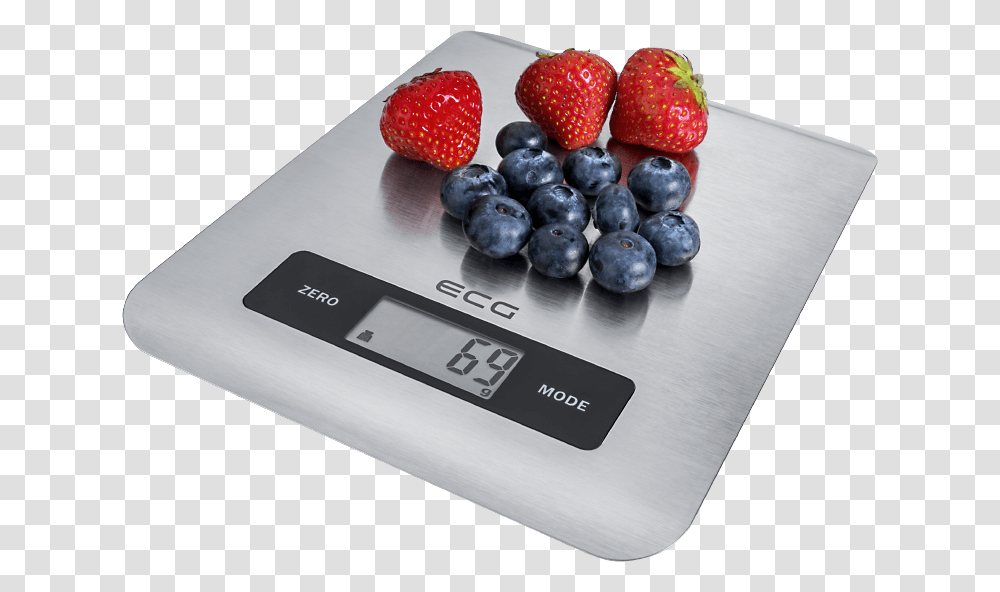 Scale, Plant, Blueberry, Fruit, Food Transparent Png