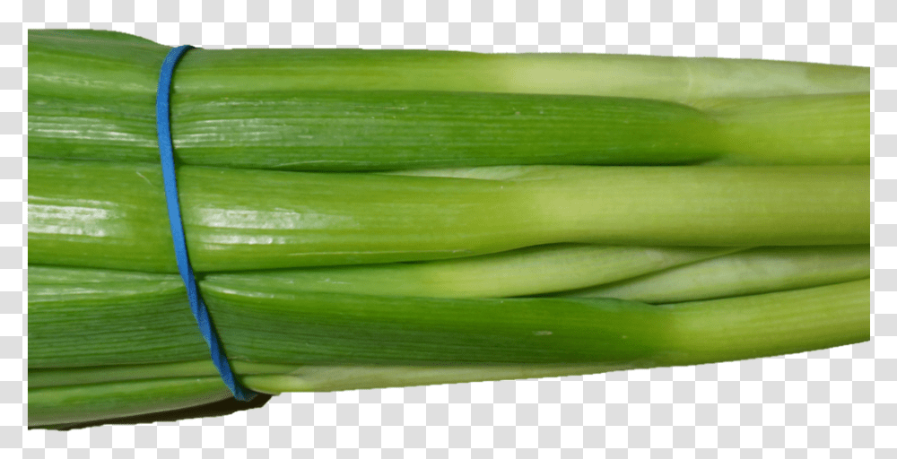 Scallion Green Onion Image Green Onion Background, Plant, Produce, Food, Vegetable Transparent Png
