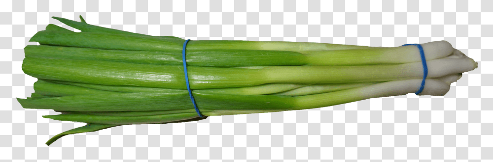 Scallion Green Onion Image Scallion, Plant, Produce, Food, Vegetable Transparent Png