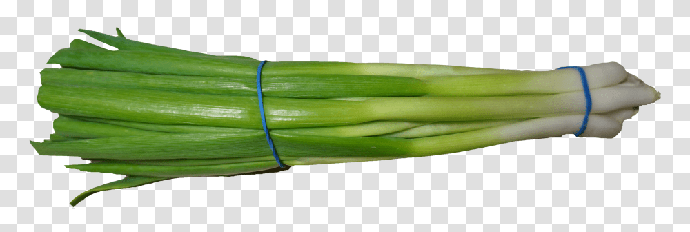 Scallion Green Onion Image, Vegetable, Plant, Produce, Food Transparent Png