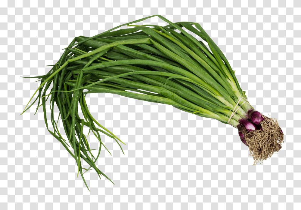 Scallion Spring Onion Image, Vegetable, Plant, Produce, Food Transparent Png