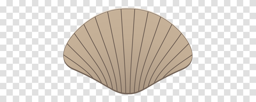 Scallop Holiday, Clam, Seashell, Invertebrate Transparent Png