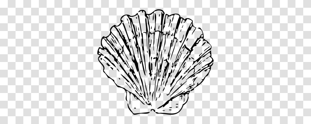 Scallop Holiday, Gray, World Of Warcraft Transparent Png