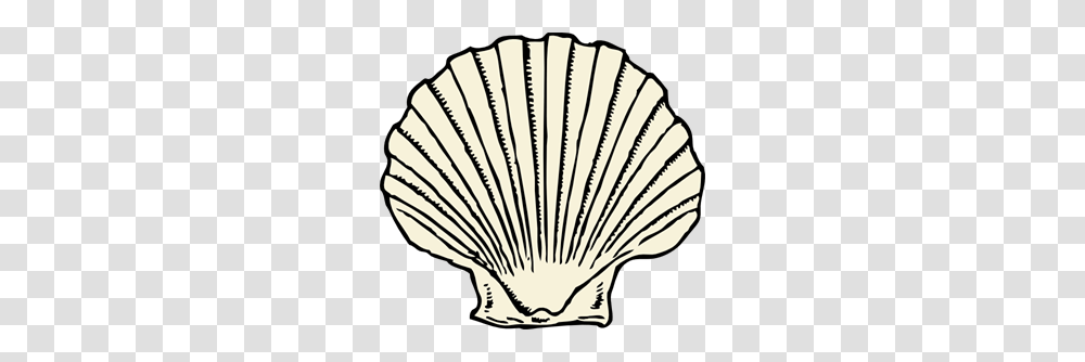 Scallop Images Icon Cliparts, Clam, Seashell, Invertebrate, Sea Life Transparent Png