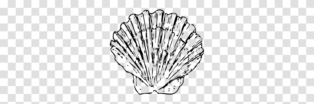 Scallop Shell Clip Art Scroll Saw Ideas Art, Clam, Seashell, Invertebrate, Sea Life Transparent Png