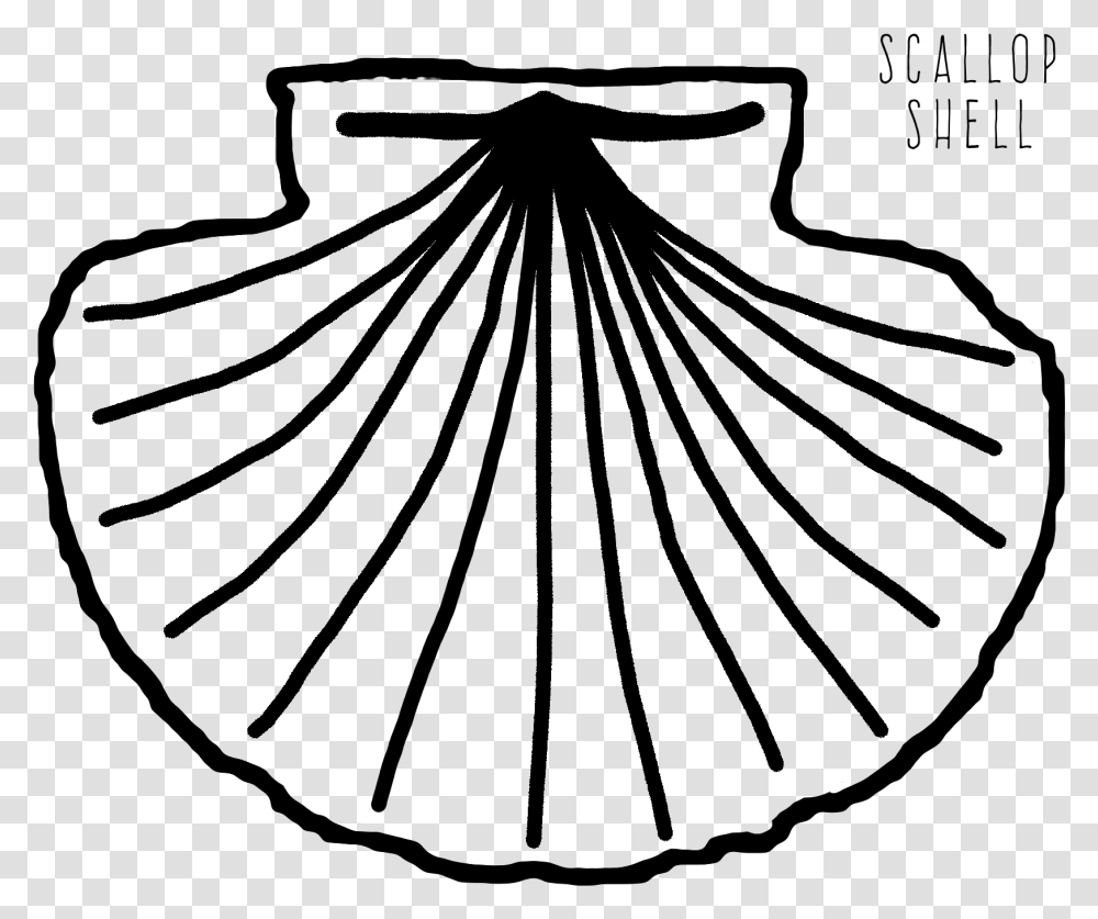 Scallop Shell Coloring Page, Gray, World Of Warcraft Transparent Png