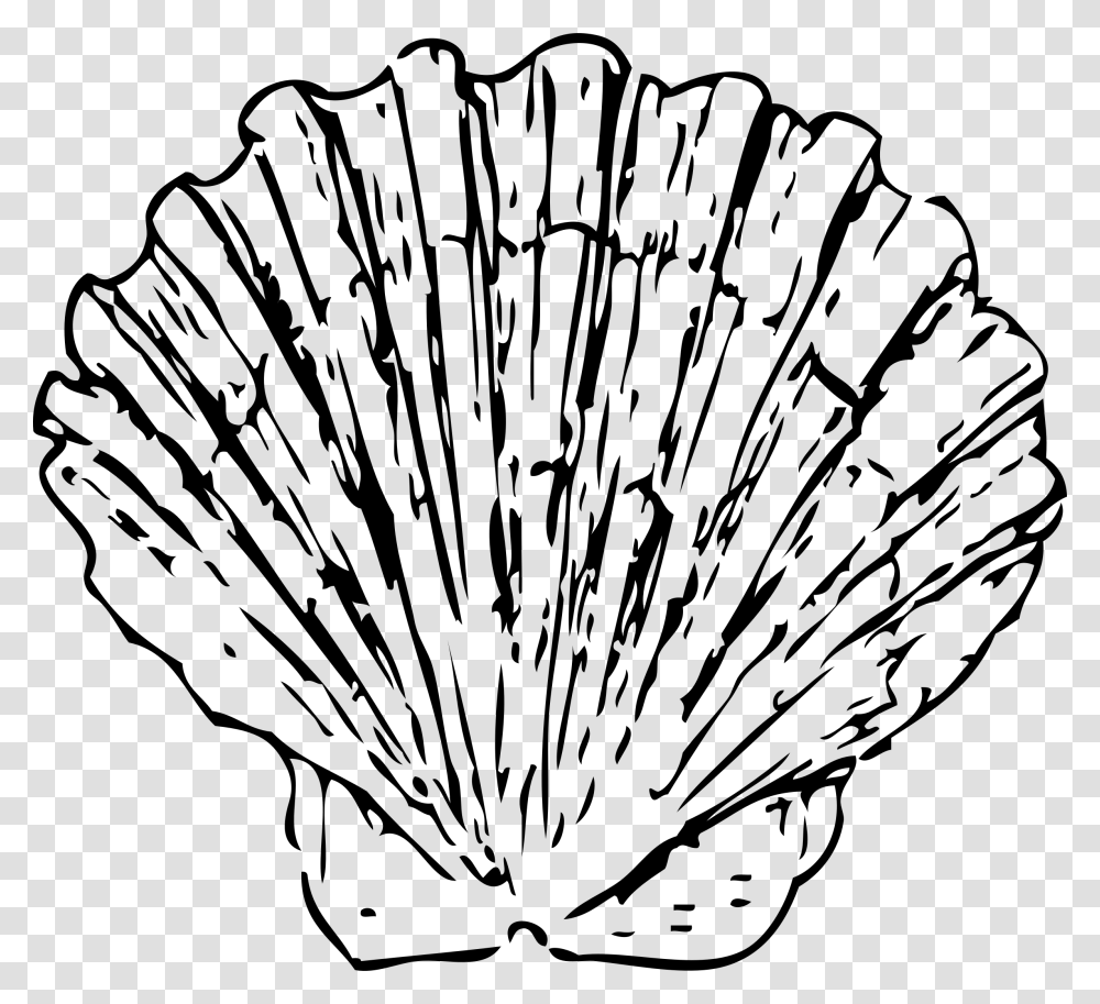 Scallop Shell Icons, Gray, World Of Warcraft Transparent Png