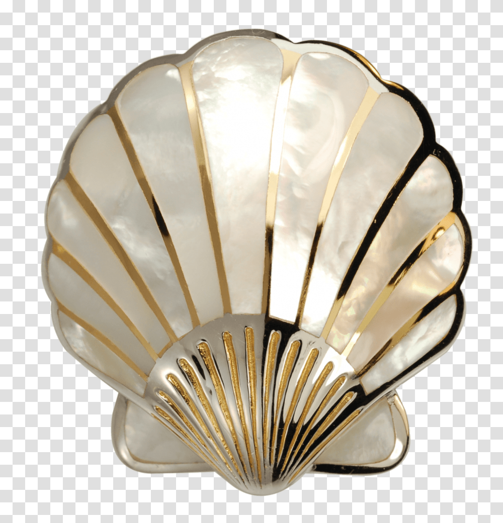 Scallop Shell Large, Lighting, Light Fixture, Helmet Transparent Png