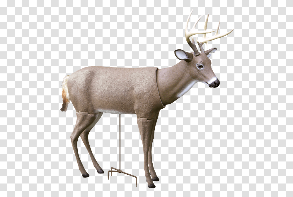 Scar Deer Decoy Decoy Deer, Antelope, Wildlife, Mammal, Animal Transparent Png