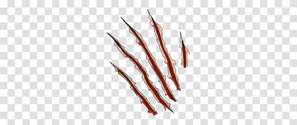 Scar, Hook, Person, Human, Animal Transparent Png