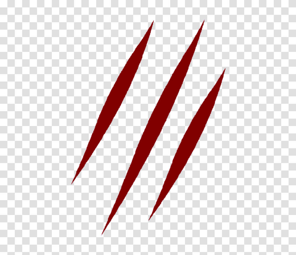 Scar Image, Bow, Bottle, Logo Transparent Png