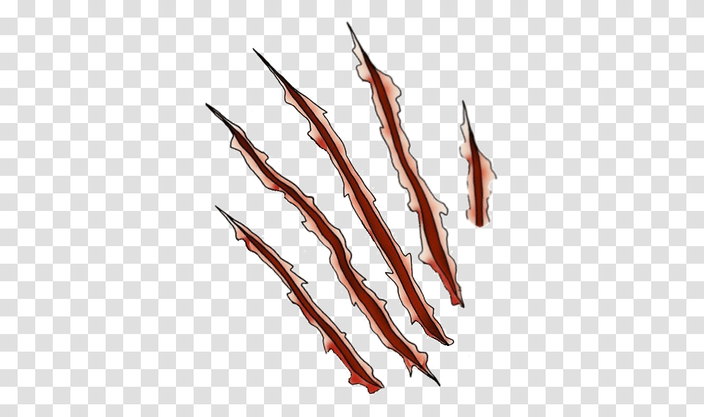Scar, Person, Human, Hook, Claw Transparent Png