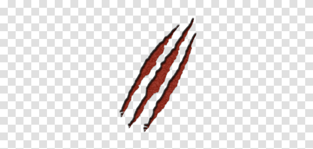 Scar, Person, Outdoors, Nature, Bacon Transparent Png