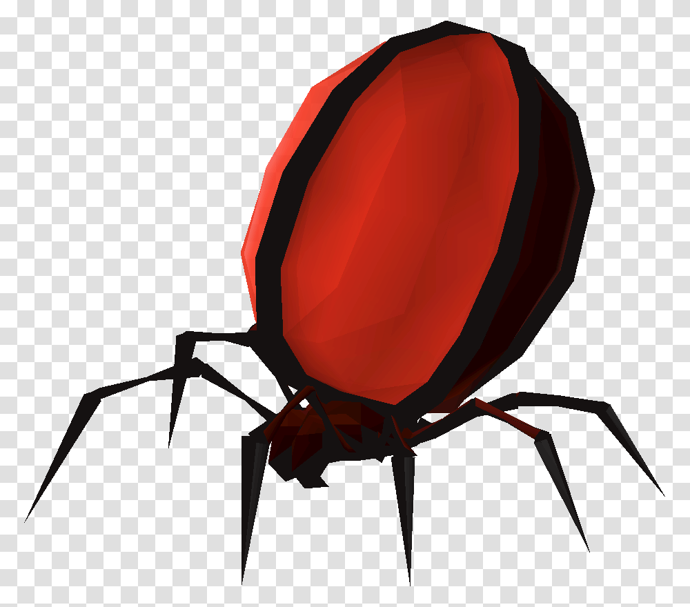 Scarabs, Animal, Invertebrate, Insect, Spider Transparent Png