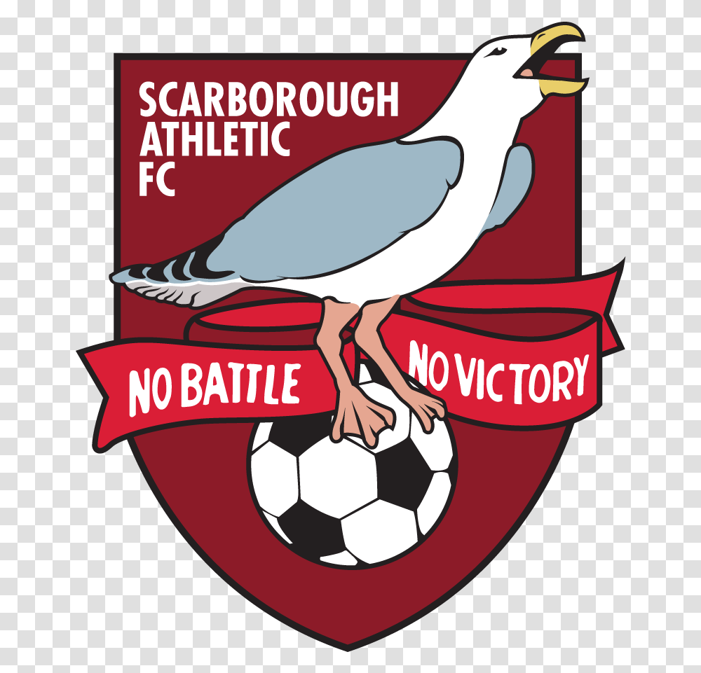 Scarborough Athletic Society Limited Agm And Director Scarborough Athletic Fc Logo, Animal, Advertisement, Bird, Poster Transparent Png