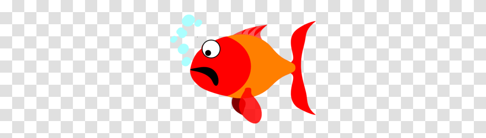 Scared Fish Clip Art, Goldfish, Animal, Person, Human Transparent Png