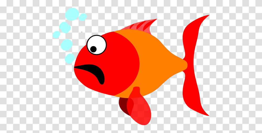 Scared Fish Clip Art, Goldfish, Animal Transparent Png