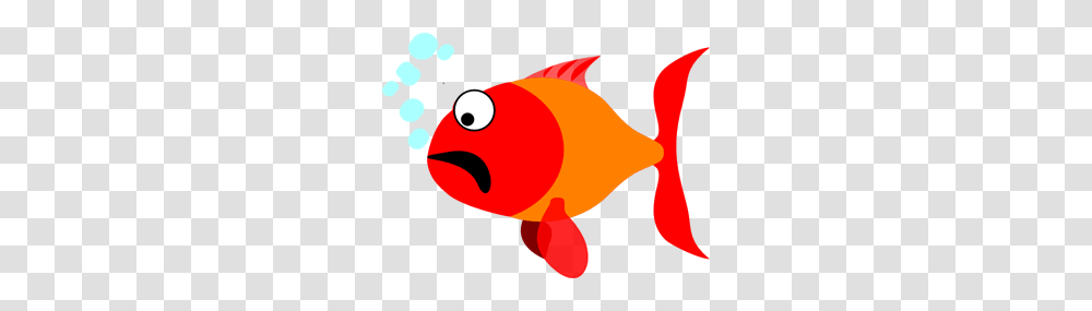 Scared Images Icon Cliparts, Goldfish, Animal, Person, Human Transparent Png