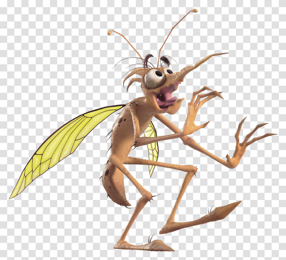 Scared Mosquito Yellow Machhar Ke Kitne Dant Hote Hain, Insect, Invertebrate, Animal, Wasp Transparent Png