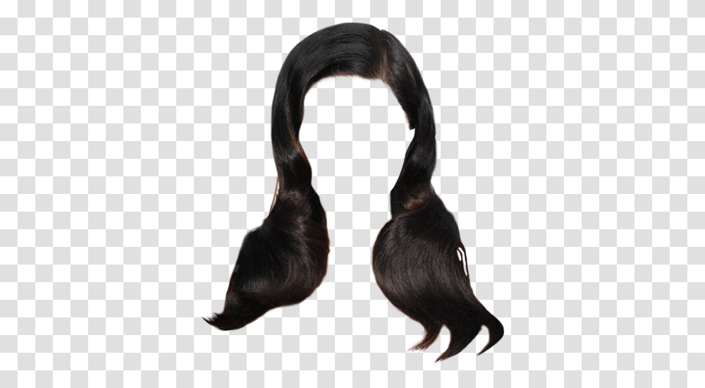 Scarf, Bird, Animal, Hair, Fur Transparent Png