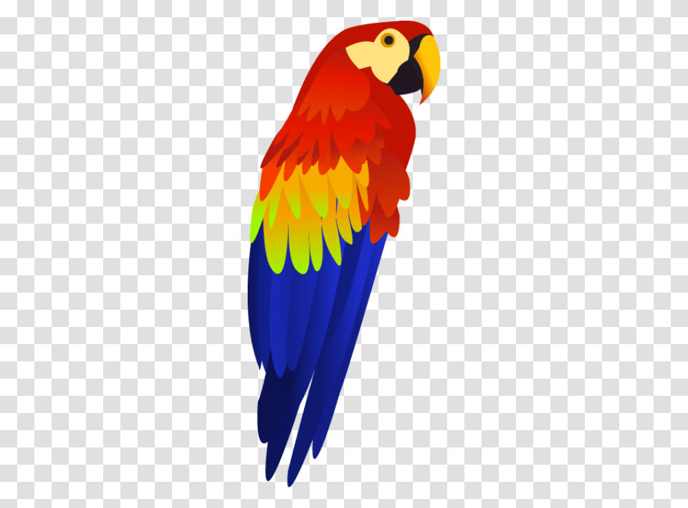 Scarlet Macaw Parrot Colorful, Bird, Animal, Fire, Flame Transparent Png