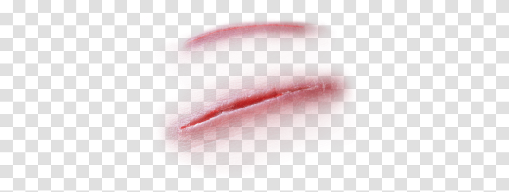 Scars Clipart Scar Background, Pork, Food, Rug, Ham Transparent Png