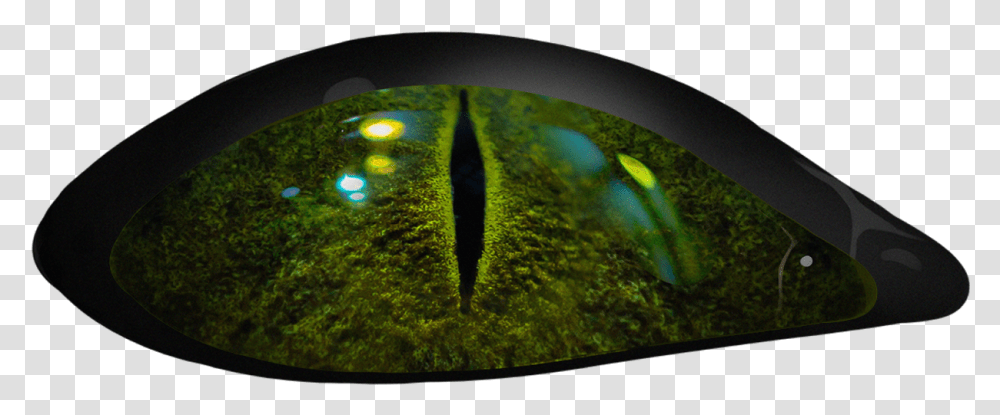 Scary Eyes Grass Clip Art Library Green Scary, Moss, Plant, Sphere, Fish Transparent Png
