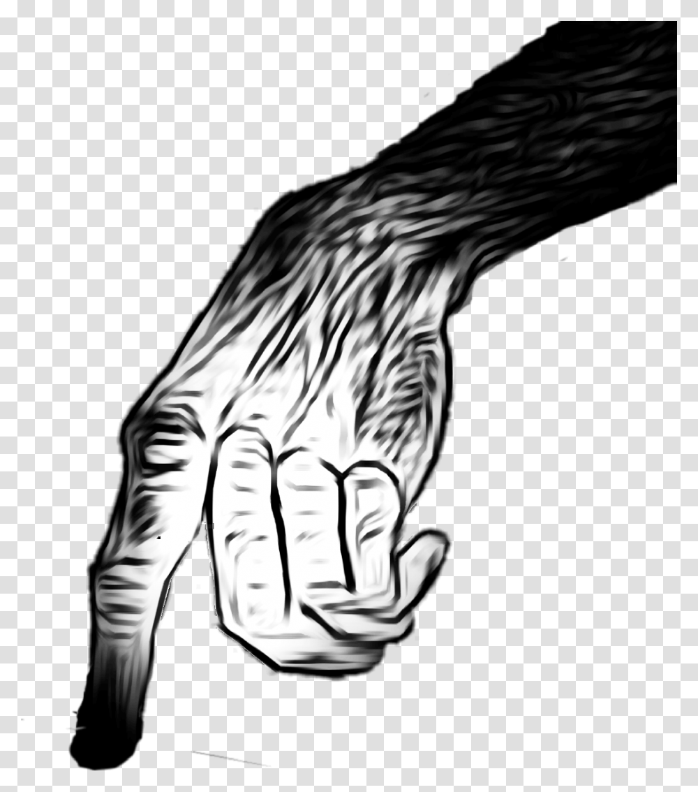 Scary Hand, Fist, Zebra, Wildlife, Mammal Transparent Png