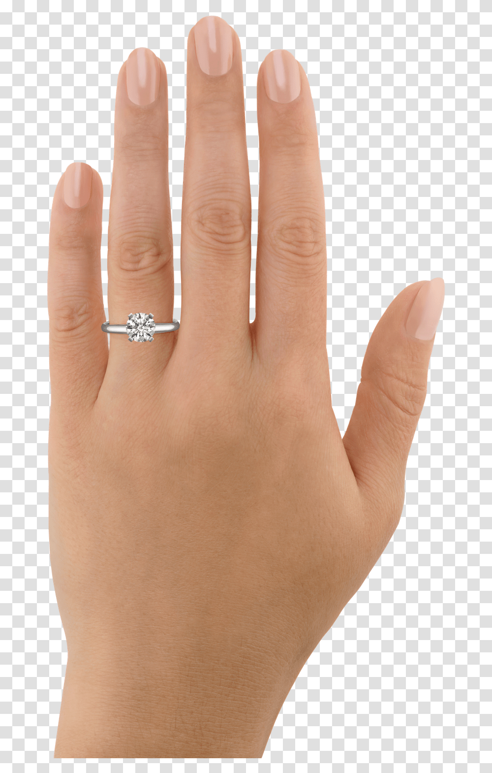Scary Hand, Person, Human, Finger, Nail Transparent Png