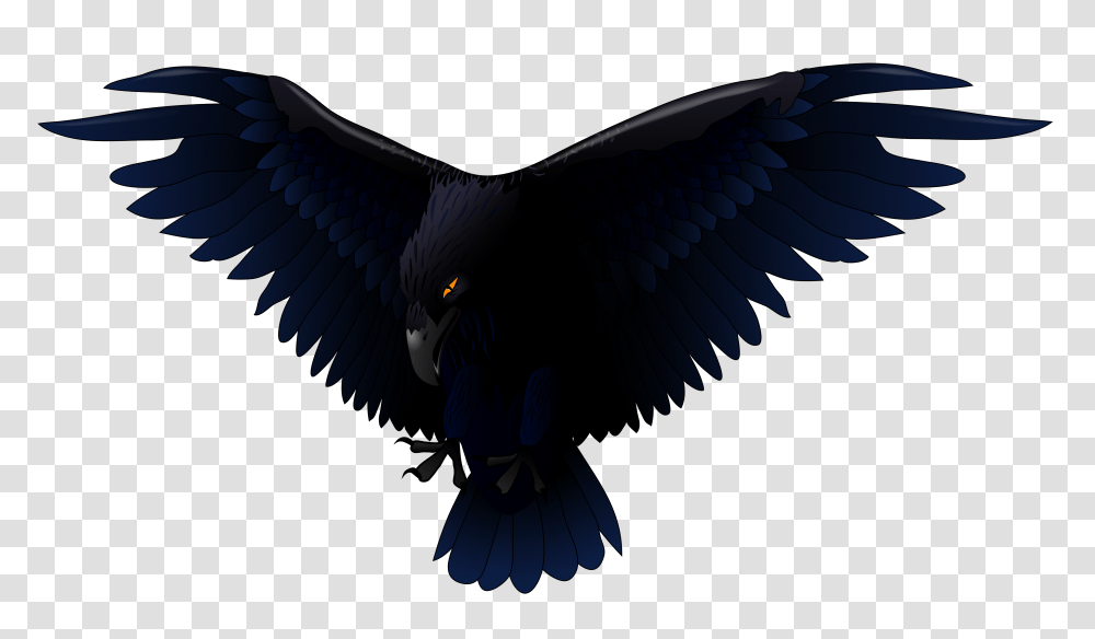 Scary Raven Vector, Vulture, Bird, Animal, Eagle Transparent Png