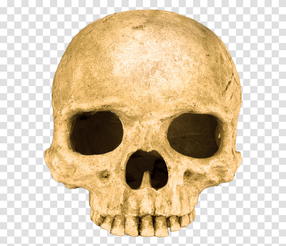 Scary Skull Background, Jaw, Head, Moon, Nature Transparent Png