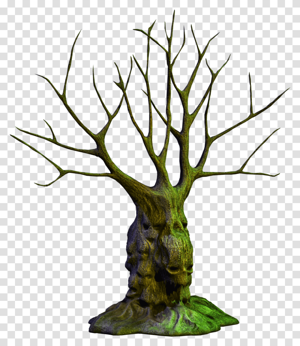 Scary Tree Cartoon, Plant, Nature, Outdoors, Vegetation Transparent Png
