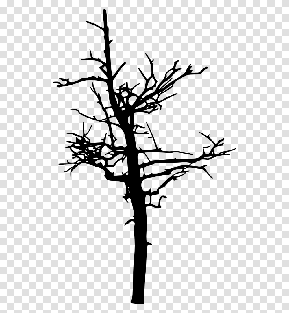 Scary Tree Silhouette, Gray, World Of Warcraft Transparent Png