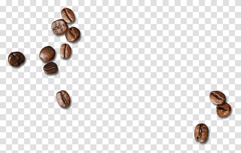 Scattered Coffee Beans Download Coffee Beans Background, Plant, Nut, Vegetable, Food Transparent Png