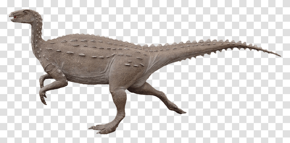 Scelidosaurus Bipedal, Dinosaur, Reptile, Animal, T-Rex Transparent Png